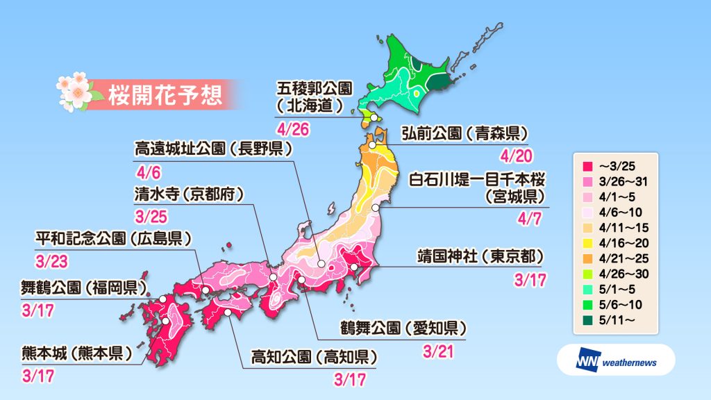 Карта цветения сакуры в японии
