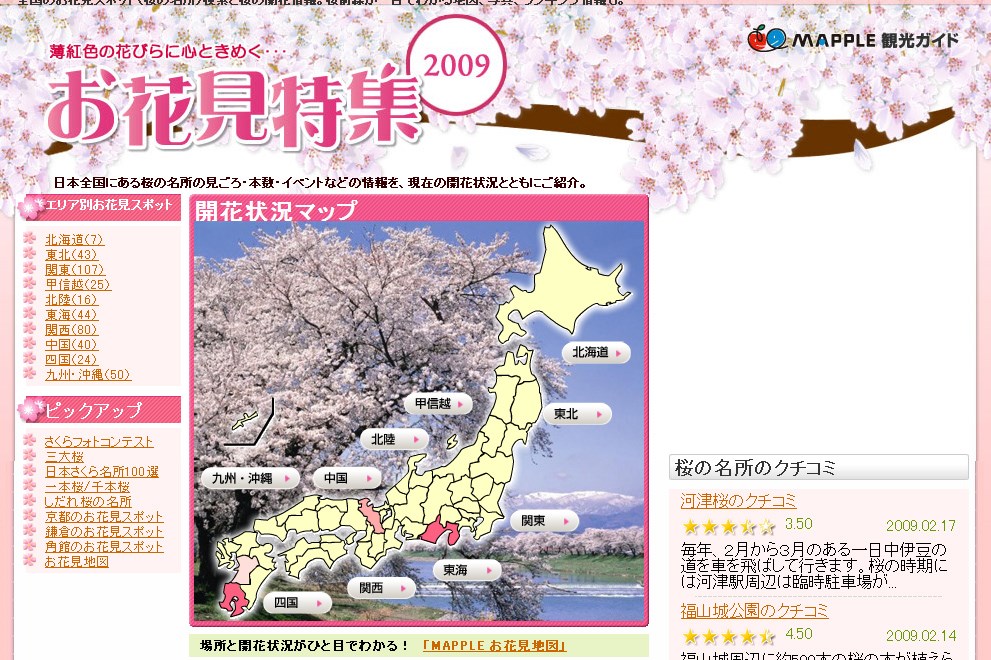 When sakura blossoms in Japan. Sakura flowering calendar for 2021