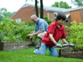 A boy in England found a rare fossil in his house