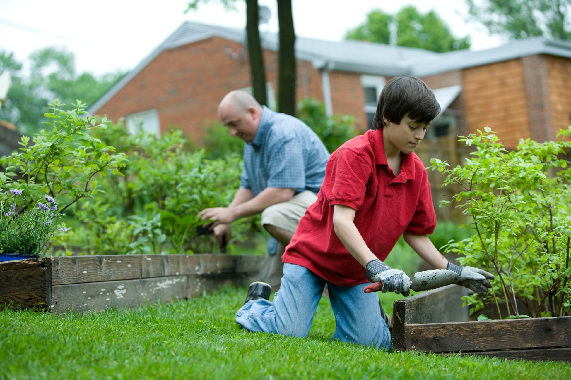 shovel-digger A boy in England found a rare fossil in his house