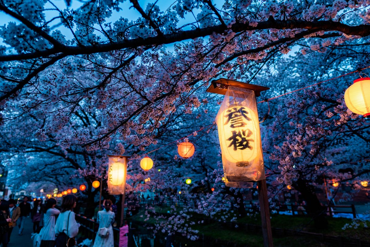 In Japan, Sakura bloomed earlier this year due to climate change