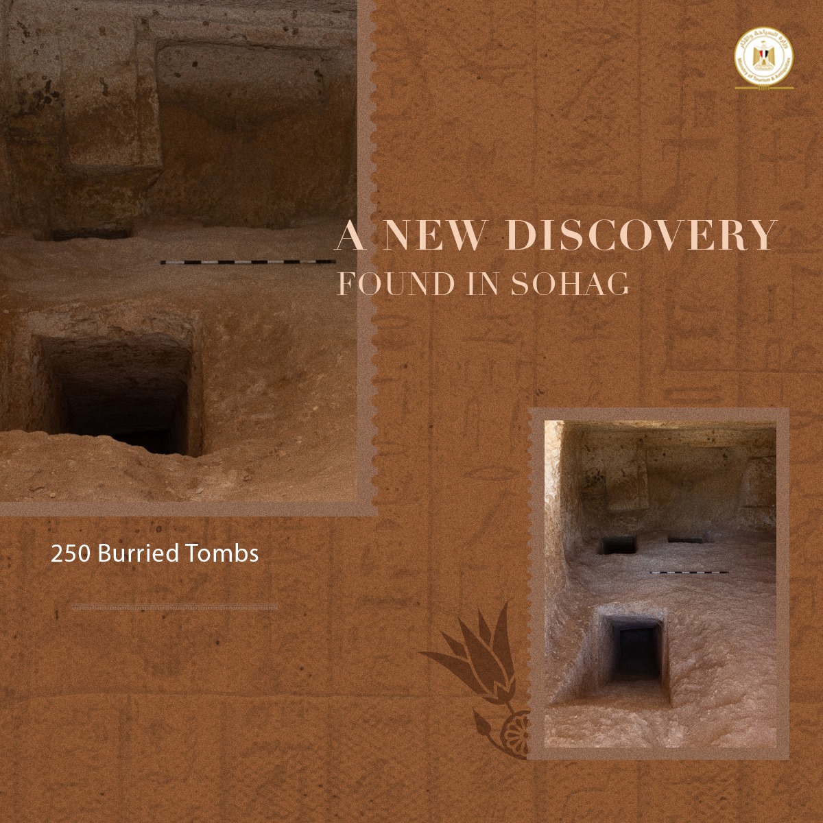 Discovery of the year: Egyptian archaeologists have discovered more than 300 tombs