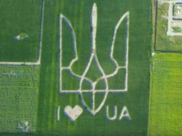 Украинцы вырастили гигантский государственный герб на кукурузных полях (ВИДЕО)