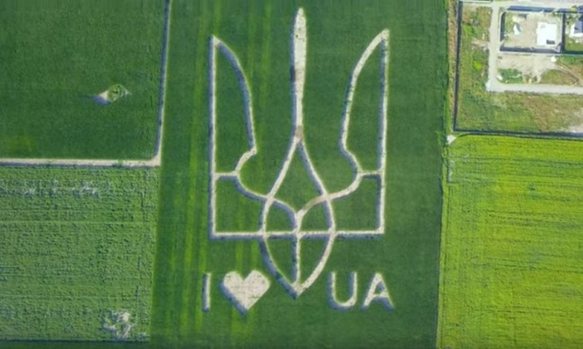 Украинцы вырастили гигантский государственный герб на кукурузных полях (ВИДЕО)