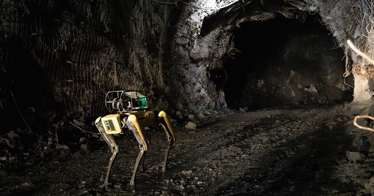 New invention: a robot dog can be sent to Mars