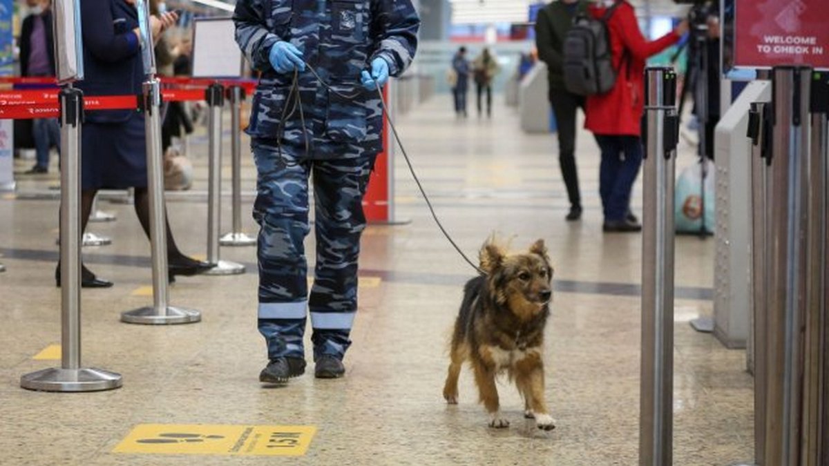 In Romania, police dogs will be looking for people with Covid-19