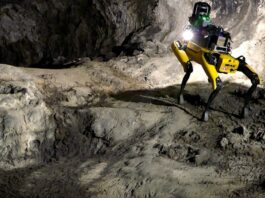 New invention: a robot dog can be sent to Mars