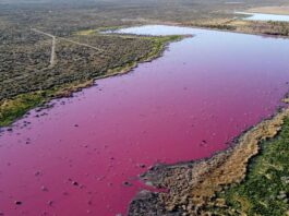 Озеро в Патагонии за ночь стало розовым, что случилось? (Фото)