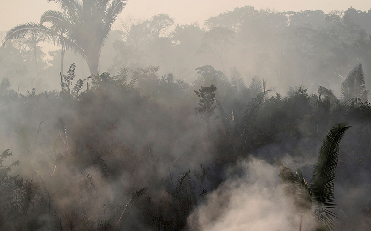 Ліс Амазонки виділяє більше вуглекислого газу, ніж поглинає