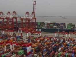 One case of COVID-19 blocked the world's largest port
