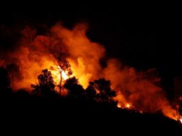 In Spain, large forest fires are raging, hundreds of residents have been evacuated