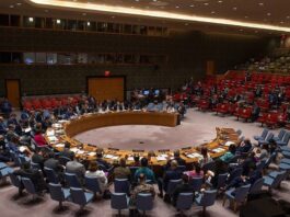 UN Security Council called for the formation of a new government in Afghanistan