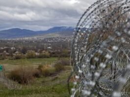 Putin has allowed dual citizenship between Russia and South Ossetia