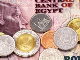 Egypt switches to plastic banknotes