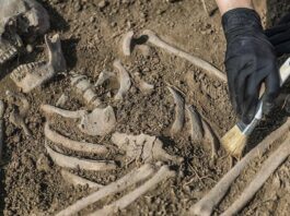 Во время раскопок в Помпеях археологи обнаружили хорошо сохранившийся скелет