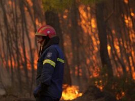 Болгарку затримали за підпали в Греції