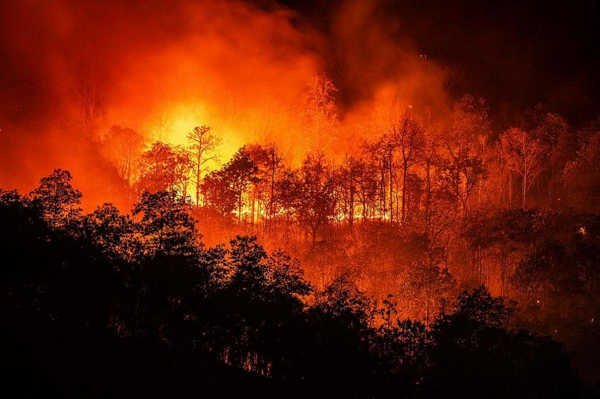 A large forest fire broke out in Portugal