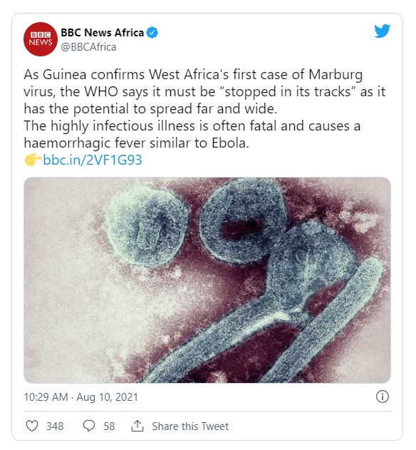 The first Marburg virus death has been reported in Africa