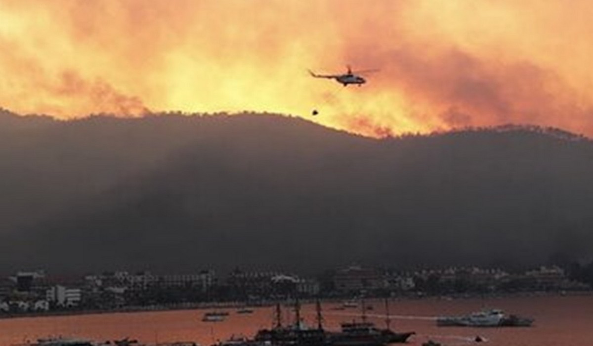 Террористы взяли на себя ответственность за лесные пожары в Турции