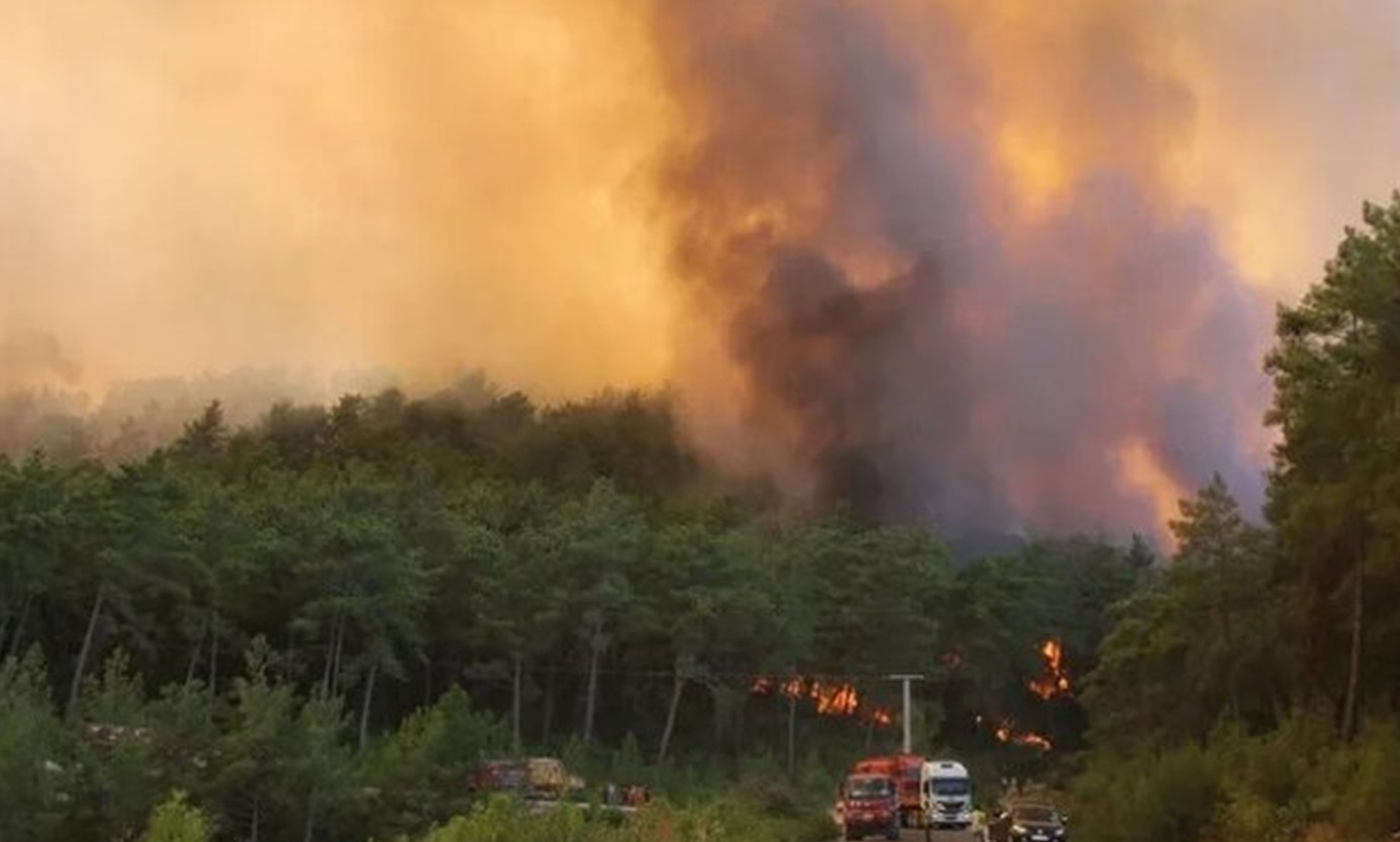 Турецкие пожарные локализовали практически все лесные пожары в стране