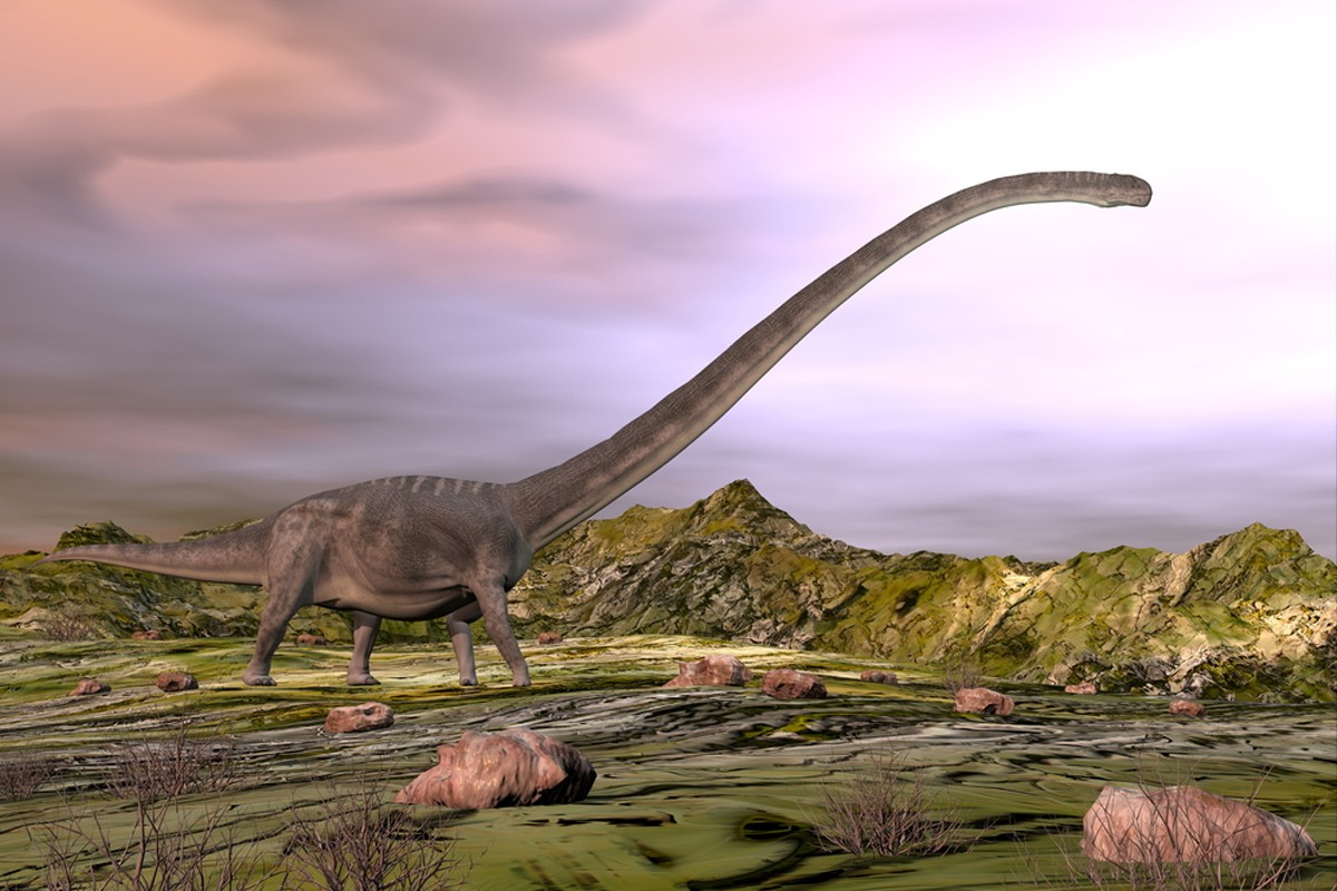 У Китаї виявлені два нових види динозаврів