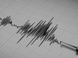 Turkey continues to "shake": new earthquakes in the Aegean Sea