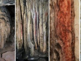 More than 60,000-year-old Neanderthal rock paintings have been found