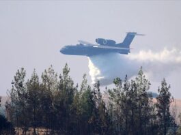 У Туреччині розбився пожежний літак, всі члени екіпажу загинули (ФОТО/ВІДЕО)