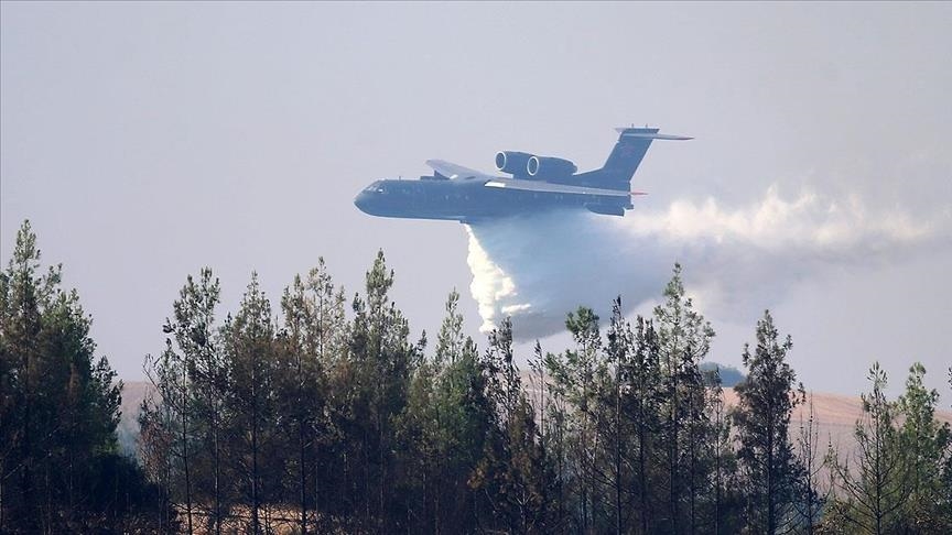 В Турции разбился пожарный самолет, все члены экипажа погибли (ФОТО / ВИДЕО)