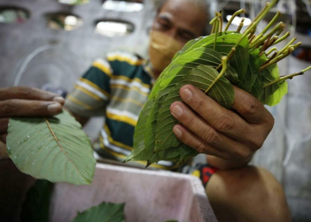 Thailand has legalized a popular local drug