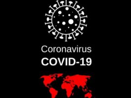 ВООЗ повідомила про зниження на 7% числа людей, інфікованих та померлих від COVID-19