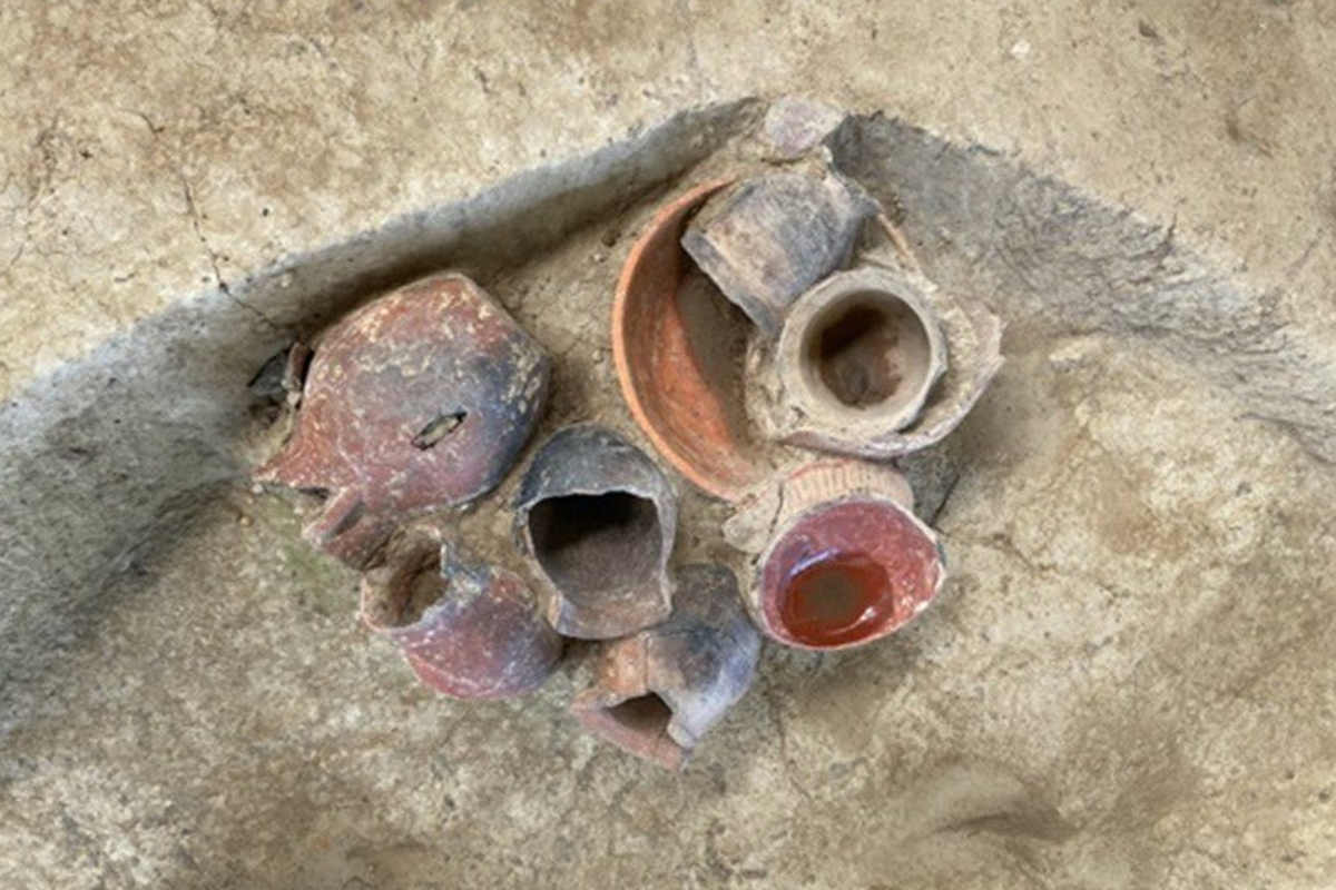 In southern China, beer was drunk 9,000 years ago