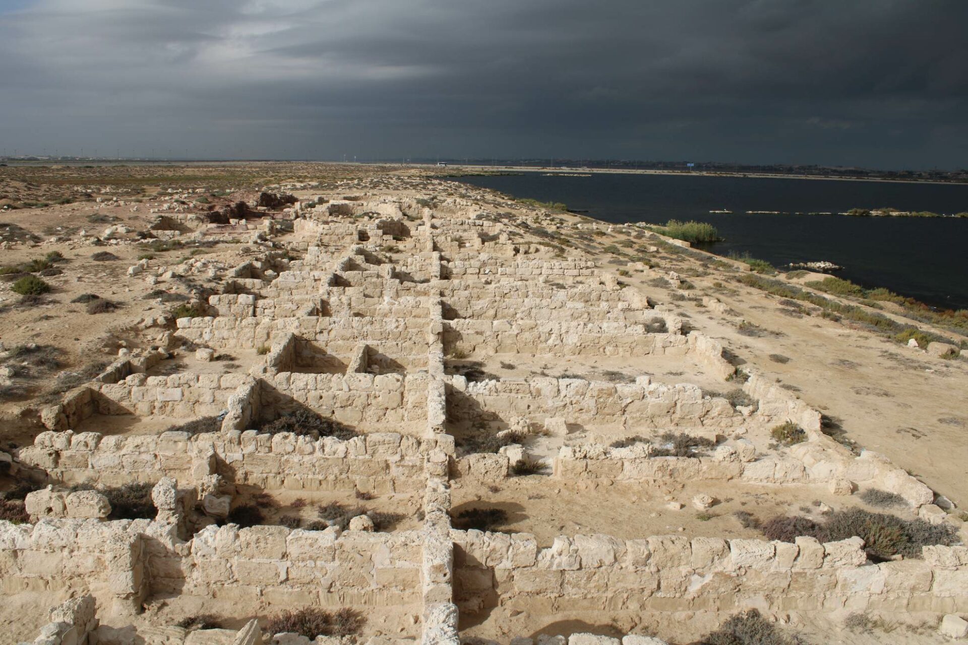В Мареа, на севере Египта, польские ученые обнаружили неизвестную часть древнего города