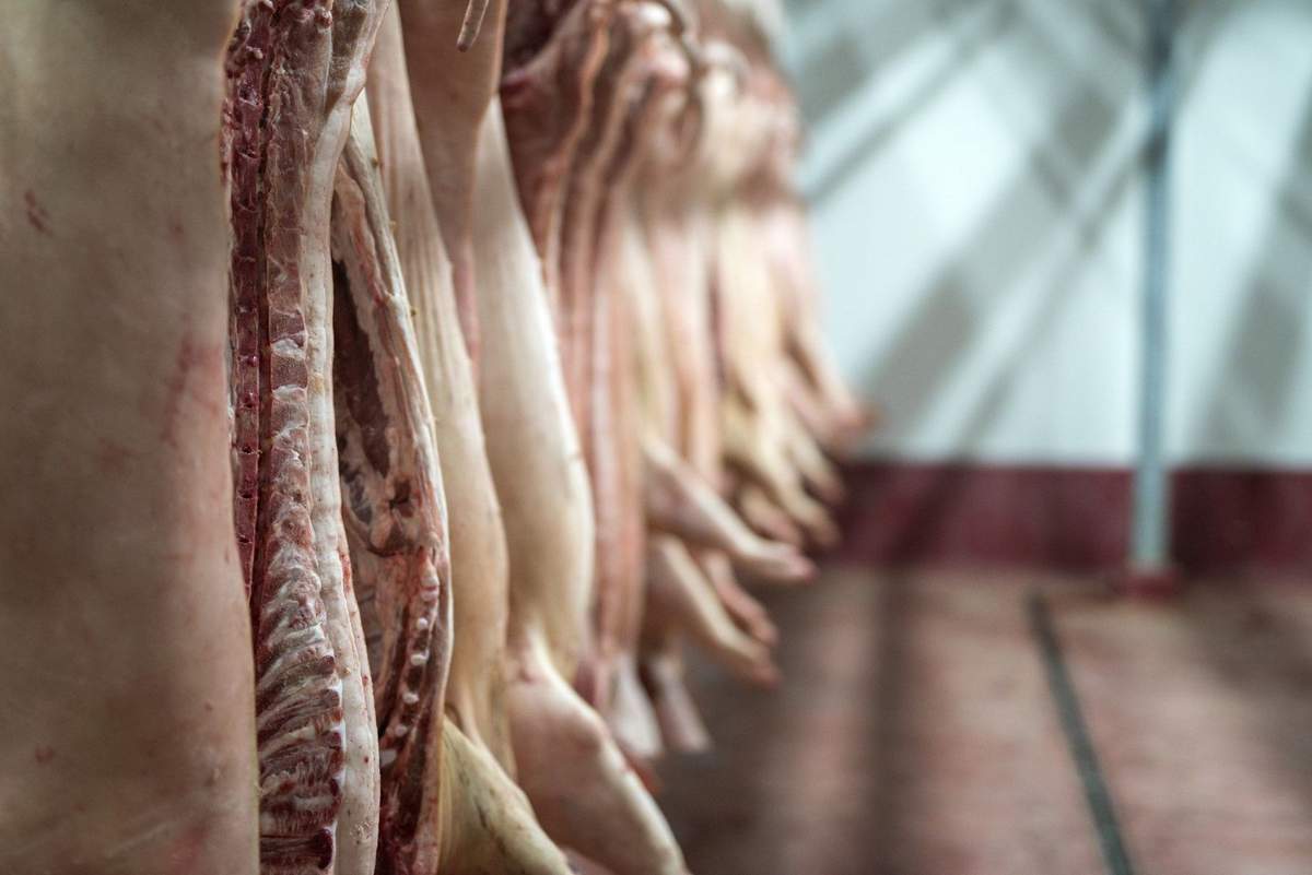 Раскрыто массовую эксплуатацию работников мясокомбинатов по всей Европе и Великобритании