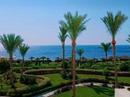 Egypt and Russia discussed ways to expand bilateral cooperation in the field of tourism
