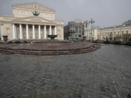 The scenery fell and killed the actor during a performance at the Bolshoi Theater