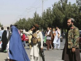 Талибы угрожают миру экономическими беженцами
