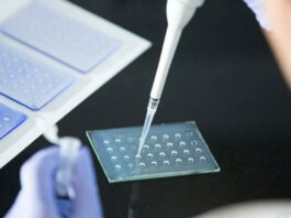 Американские ученые разрабатывают вакцину против всех типов коронавируса
