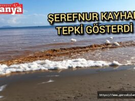 Туристи в шоці: на популярному курорті Туреччини пляжі брудні а море коричневе