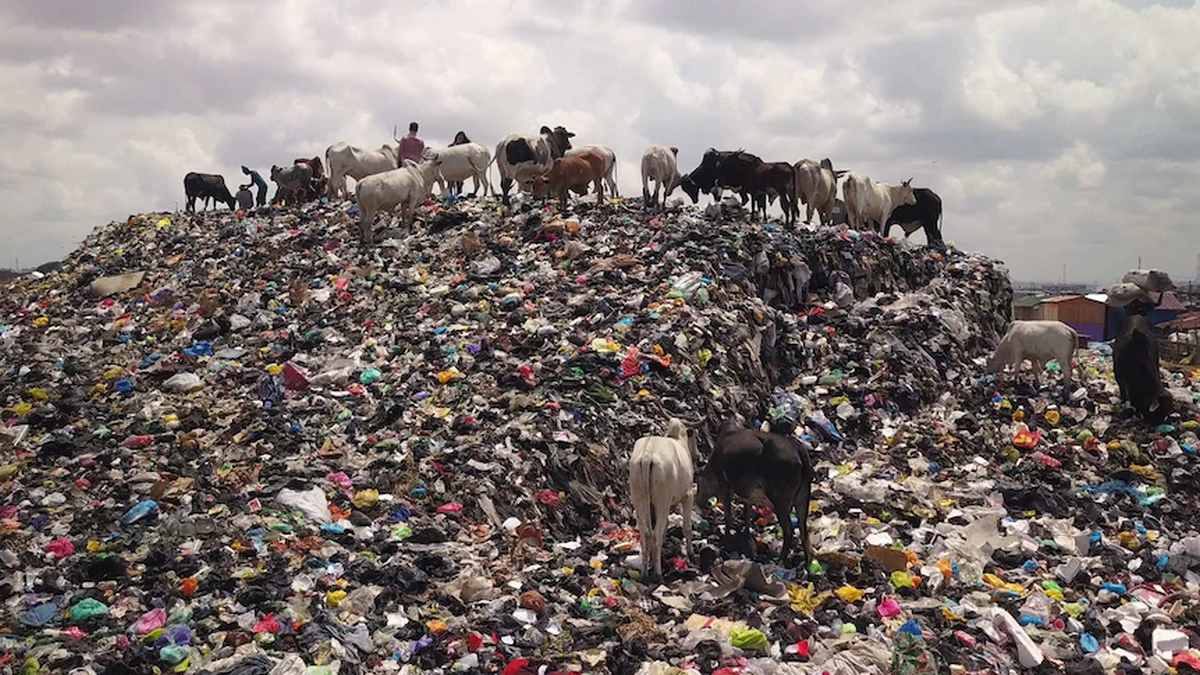 Модные бренды одежды хоронят планету в мусоре