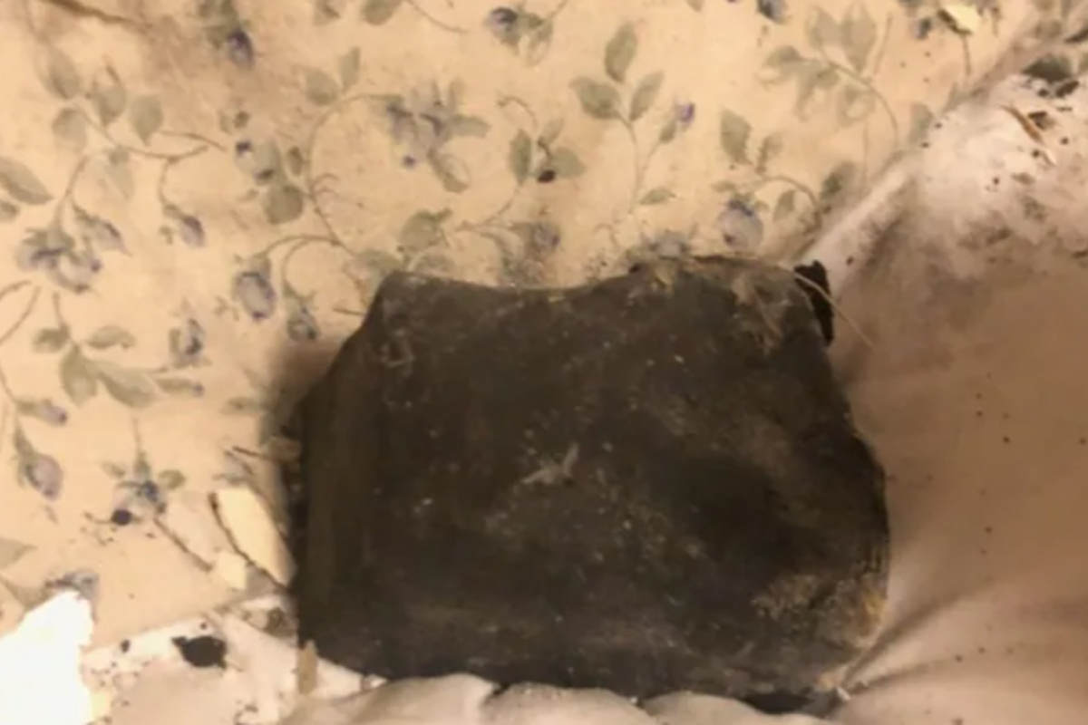 A meteorite from the asteroid belt fell on a pillow 10 cm from the woman's head