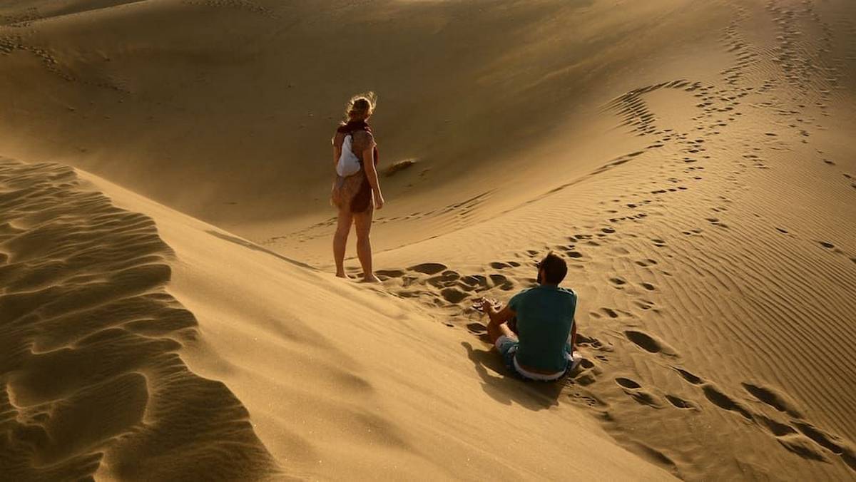 Нове дослідження показало, що поведінка туристів пошкодила дюни