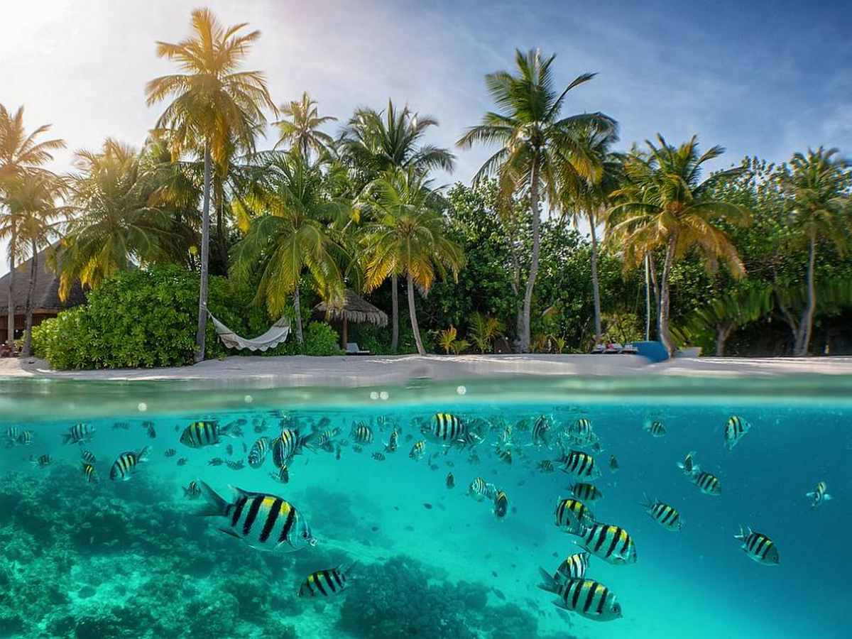 Ці райські туристичні острови можуть затонути назавжди