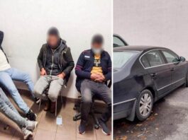 Незаконне перевезення іноземців. Поліція затримала чотирьох громадян Єгипту та їхнього водія з України
