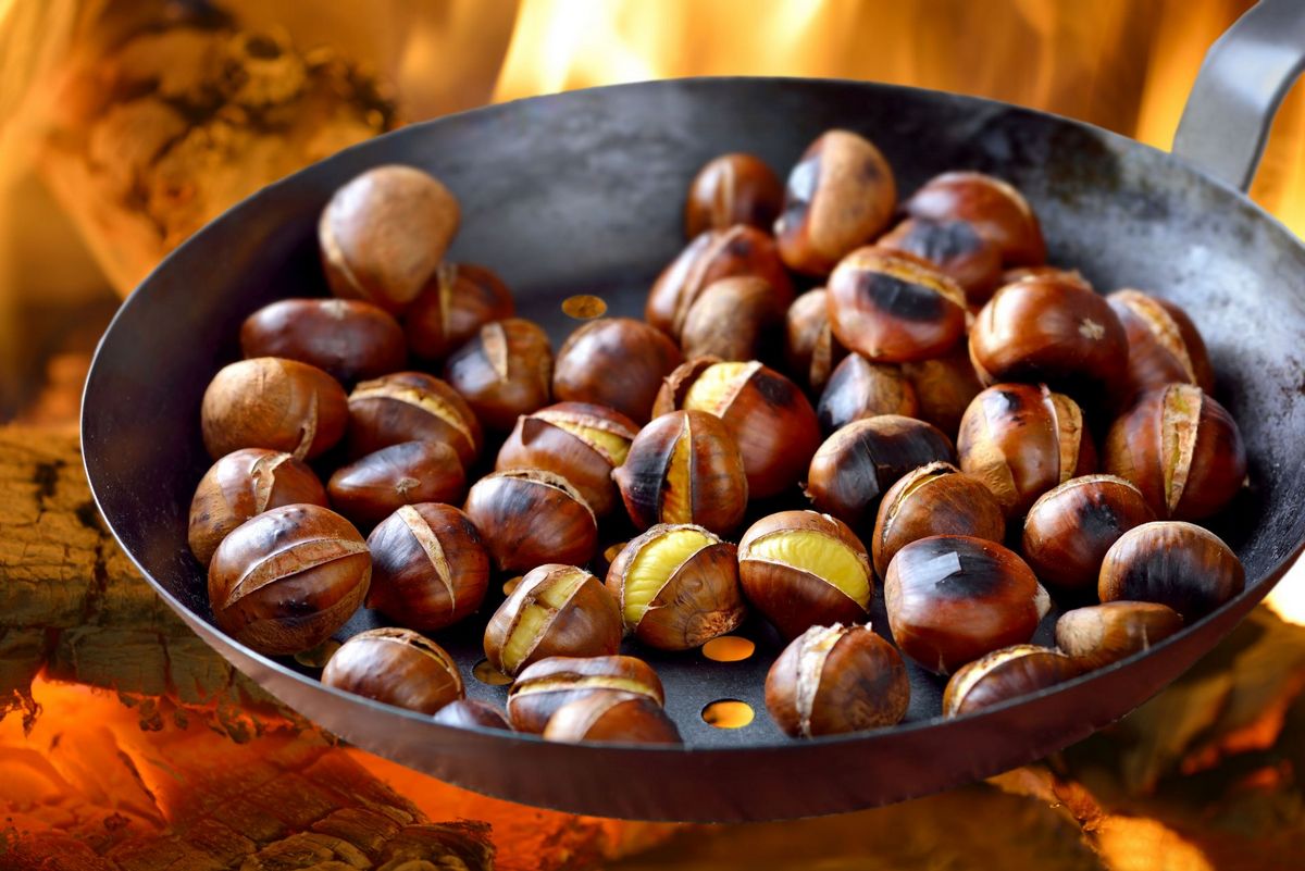 Five benefits of edible chestnuts for our health