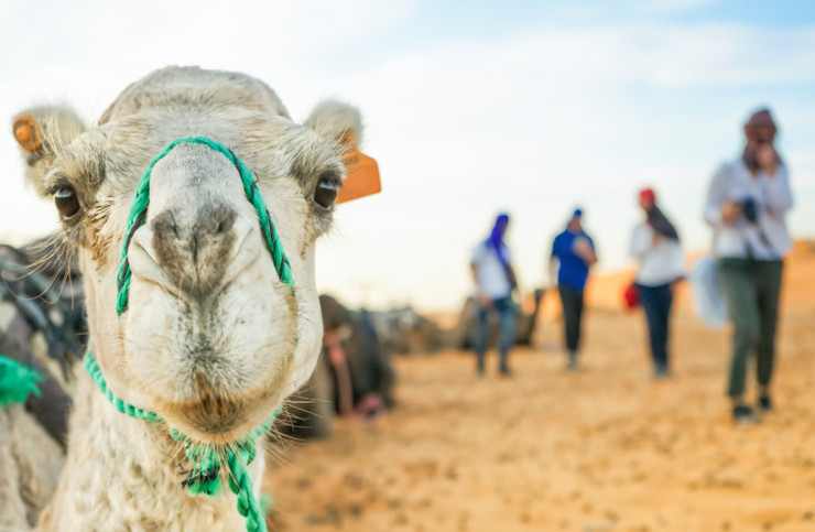 Туристка поділилася корисними лайфхаками на відпочинку в Єгипті