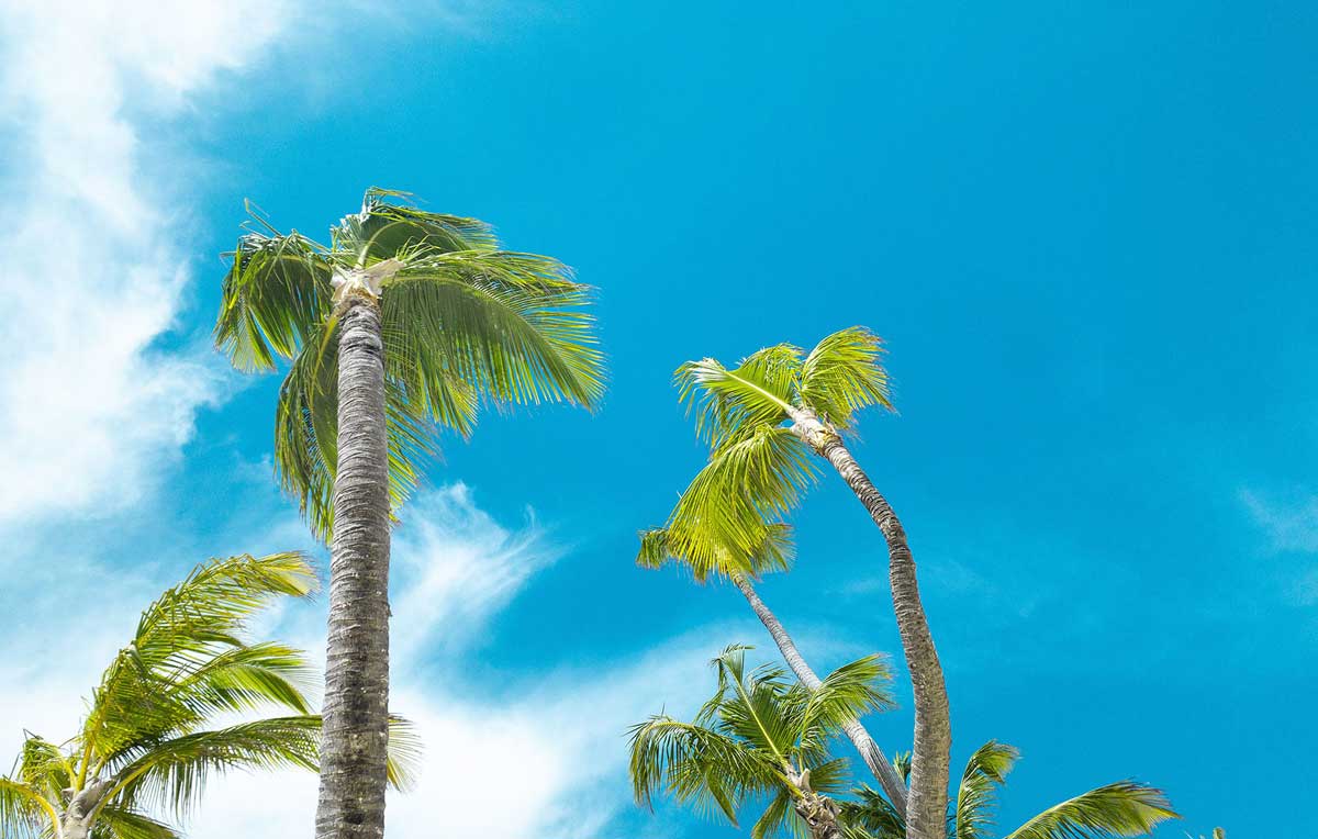 Найкращі курорти Домінікани: де краще відпочивати, на якому узбережжі