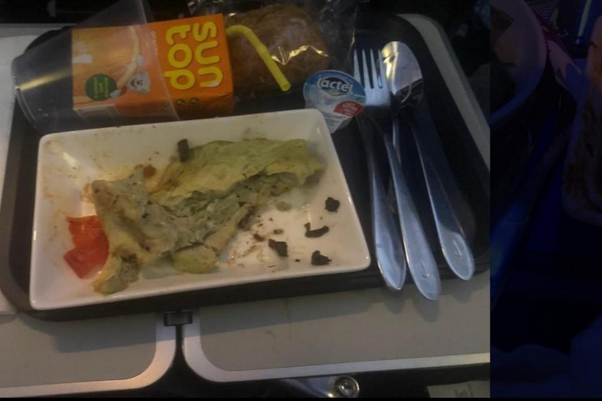 Нудотна їжа в літаках: туристи поділилися фотографіями найгірших обідів у польоті