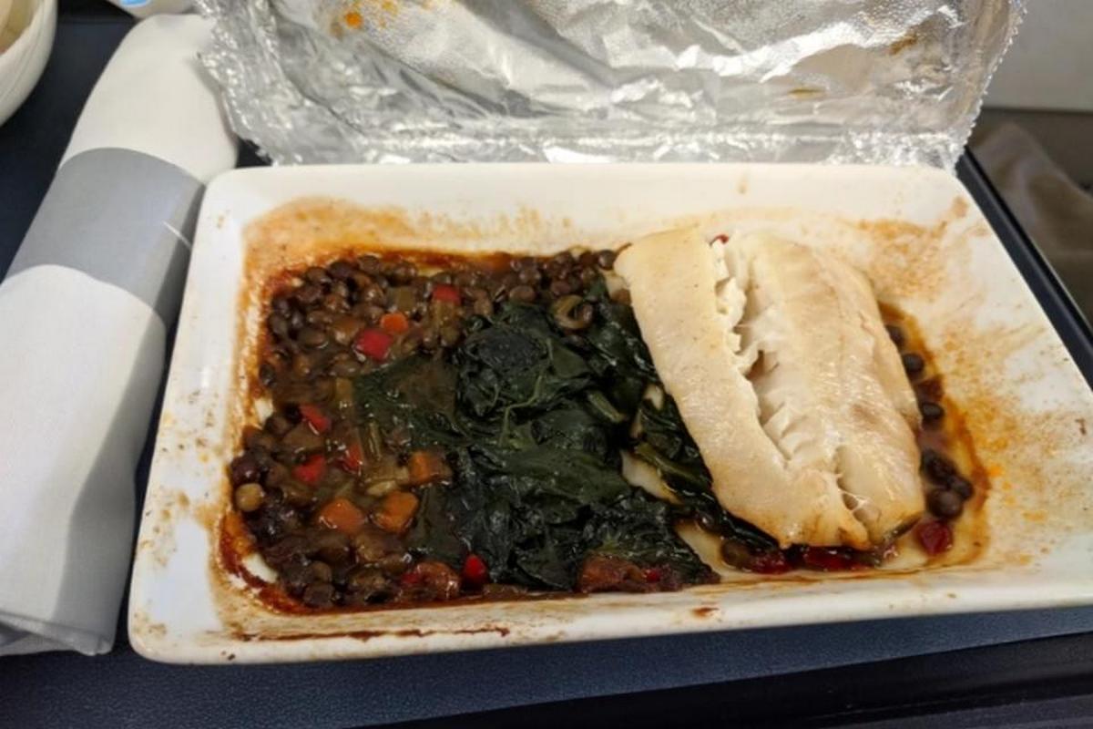 Нудотна їжа в літаках: туристи поділилися фотографіями найгірших обідів у польоті