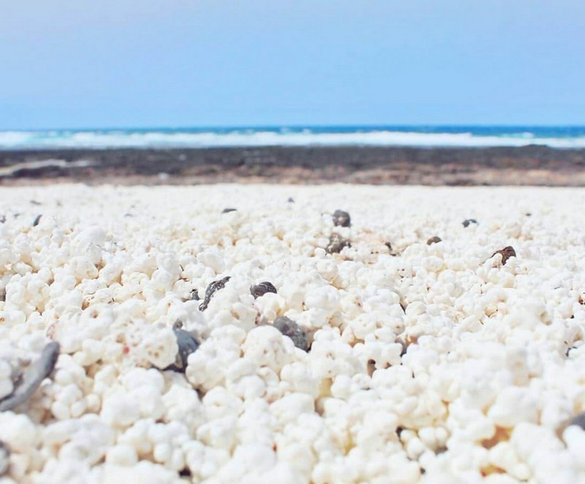 На Канарських островах знайдено пляж на якому замість піску, попкорн